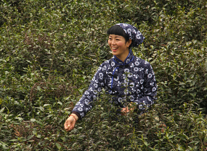 企鹅号·奶冻布丁酱 热门6